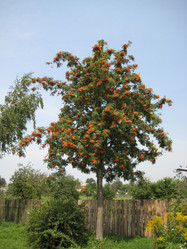 Similar image 136489