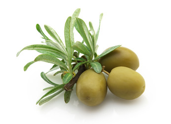 Similar image 136496