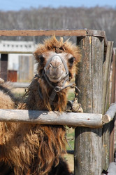 Similar image 136506