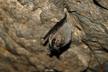 Similar image 136508