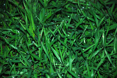 Similar image 136512