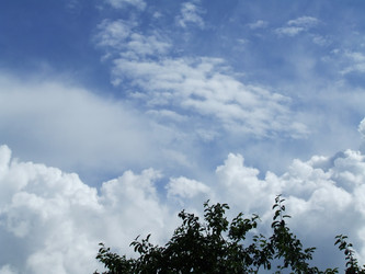 Similar image 136516