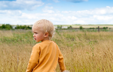 Similar image 136545