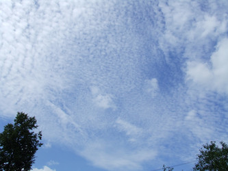 Similar image 136552