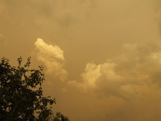 Similar image 136554