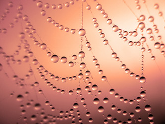 Similar image 136559