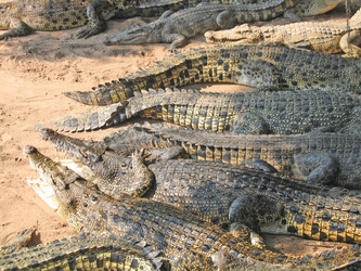 Similar image 136561