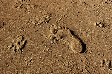 Similar image 136573