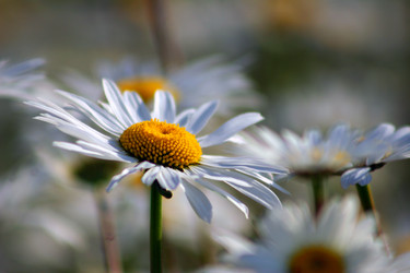 Similar image 136580