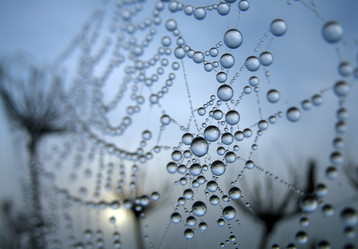 Similar image 136581