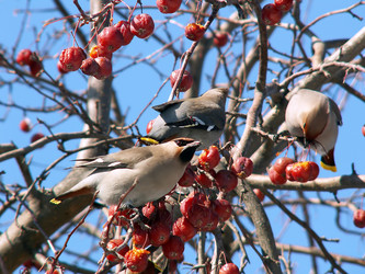 Similar image 136582