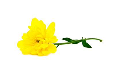 Similar image 136589