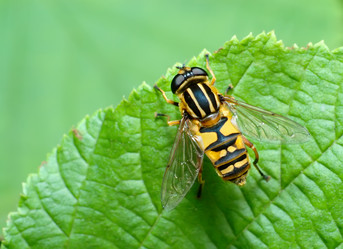 Similar image 136596