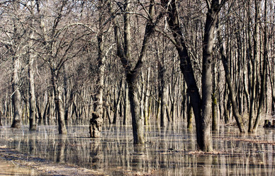 Similar image 136608