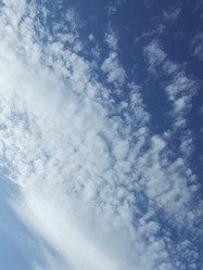 Similar image 136616