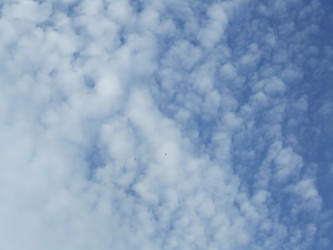 Similar image 136623