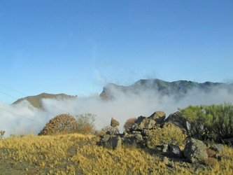 Similar image 136638