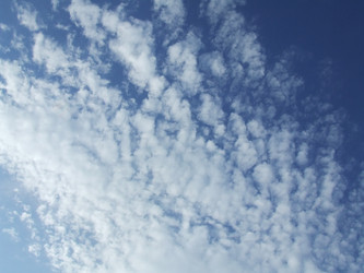 Similar image 136667