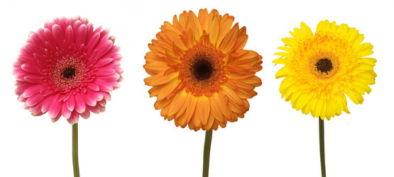 Similar image 136669