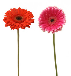 Similar image 136670