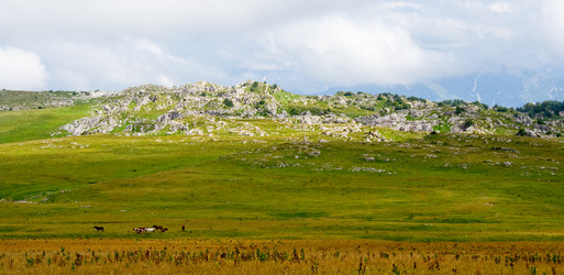 Similar image 136692