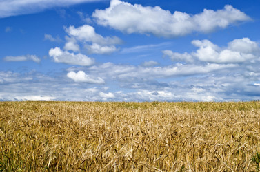 Similar image 136695