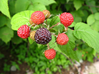 Similar image 136696