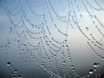 Similar image 136731