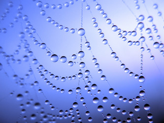 Similar image 136732