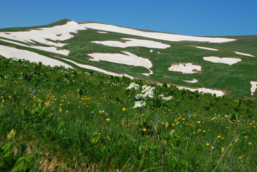 Similar image 136733