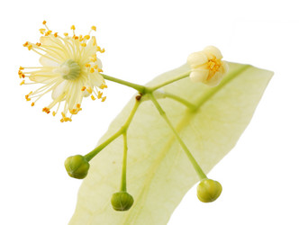 Similar image 136737