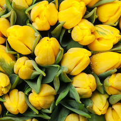 Similar image 136744