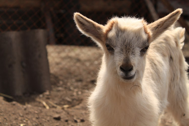 Similar image 136772