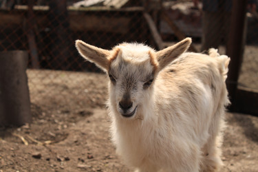 Similar image 136773