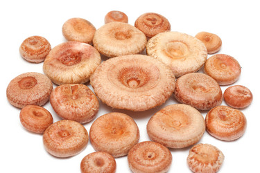 Similar image 136810