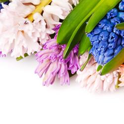 Similar image 136815