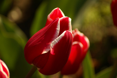 Similar image 136822