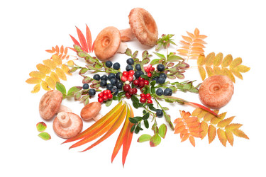 Similar image 136828