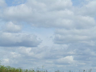 Similar image 136833