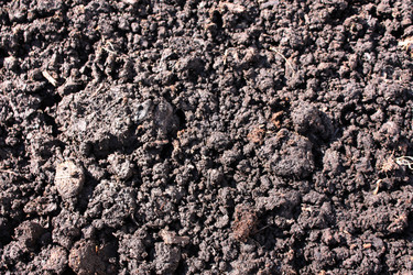 Similar image 136848