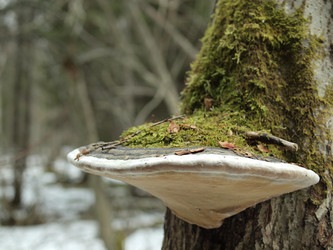 Similar image 136860