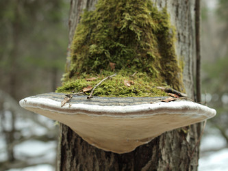 Similar image 136861