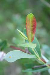 Similar image 136868