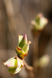 Similar image 136870