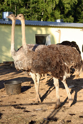 Similar image 136872