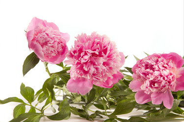 Similar image 136902