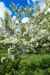 Similar image 136908