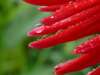 Similar image 136924