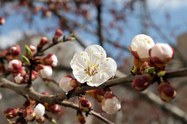 Similar image 136931