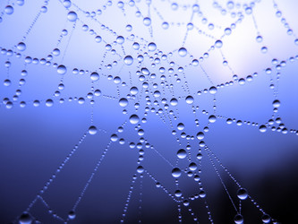 Similar image 136946